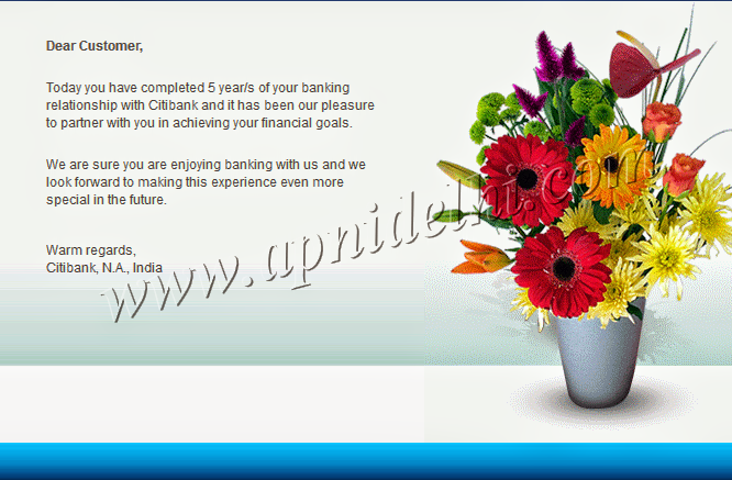 customer service citibank