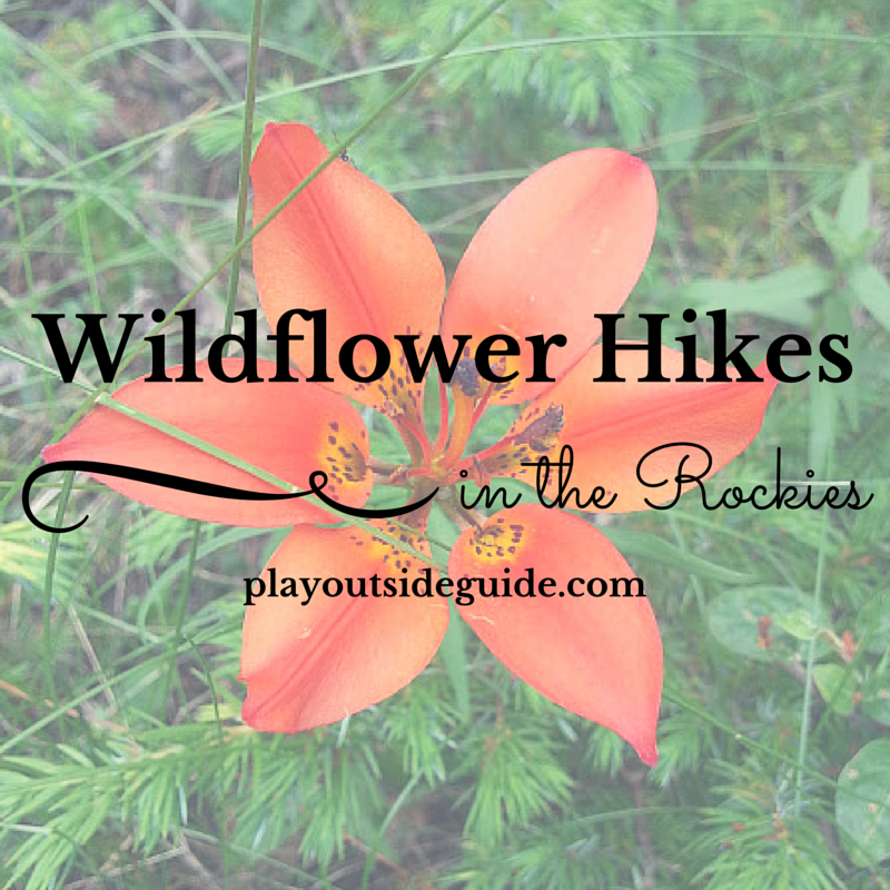 Wildflower Hikes in the Canadian Rockies Play Outside Guide