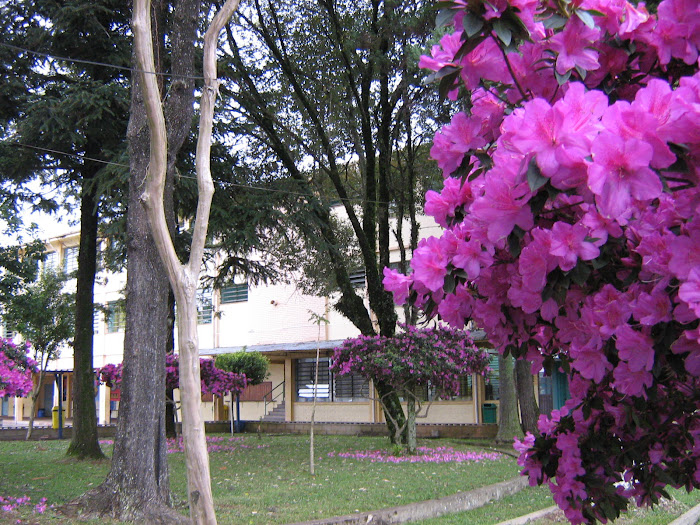 ESCOLA ESTADUAL DE ENSINO MÉDIO SÃO RAFAEL