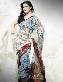 Zarine Khan Saree Photoshoot