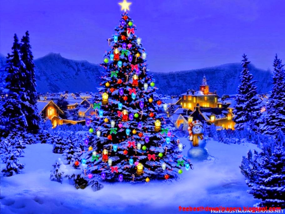 Christmas Tree Nature Wallpaper Christmas Tree Nature Wallpaper