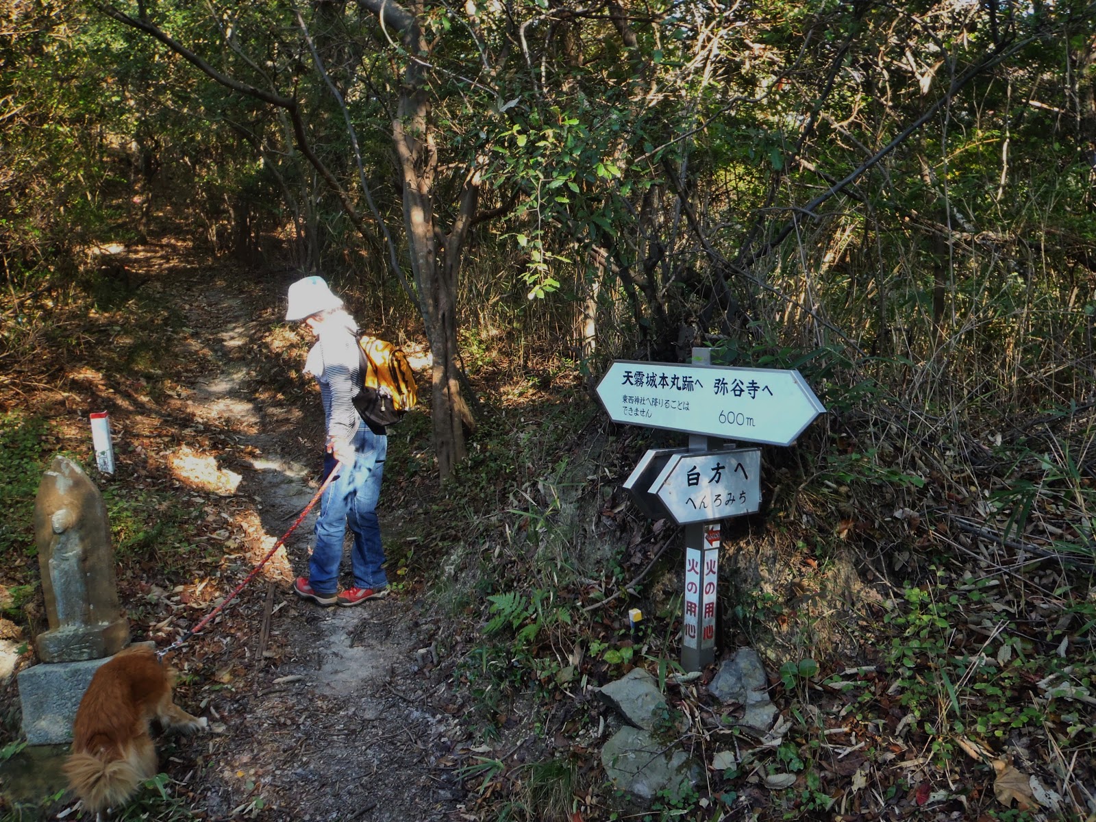 西国の山城 天霧城 香川県仲多度郡多度津町吉原