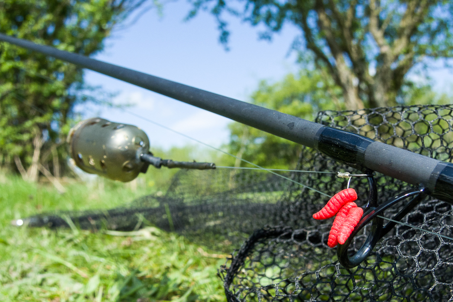 Tench feeder rigs - The Pikers Pit
