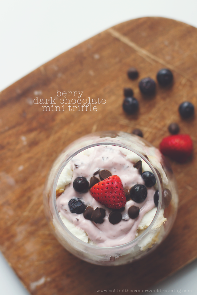 Berry Dark Chocolate Triffle  #MullerMoment #ad