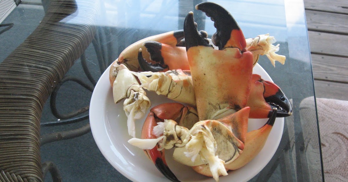 Saltwater Fishing Tips for the South: How to cook stone crab claws