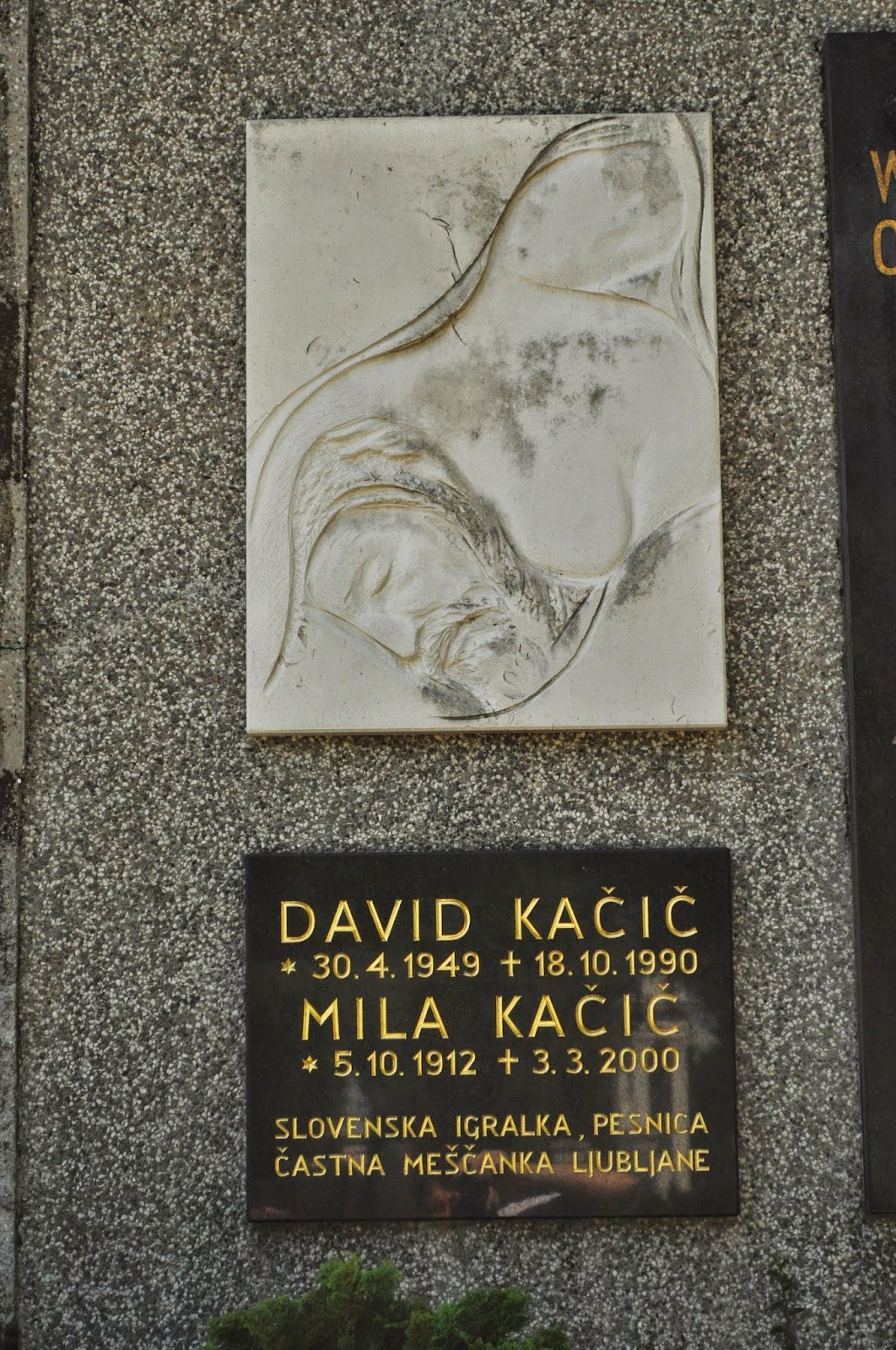 Mila Kačič