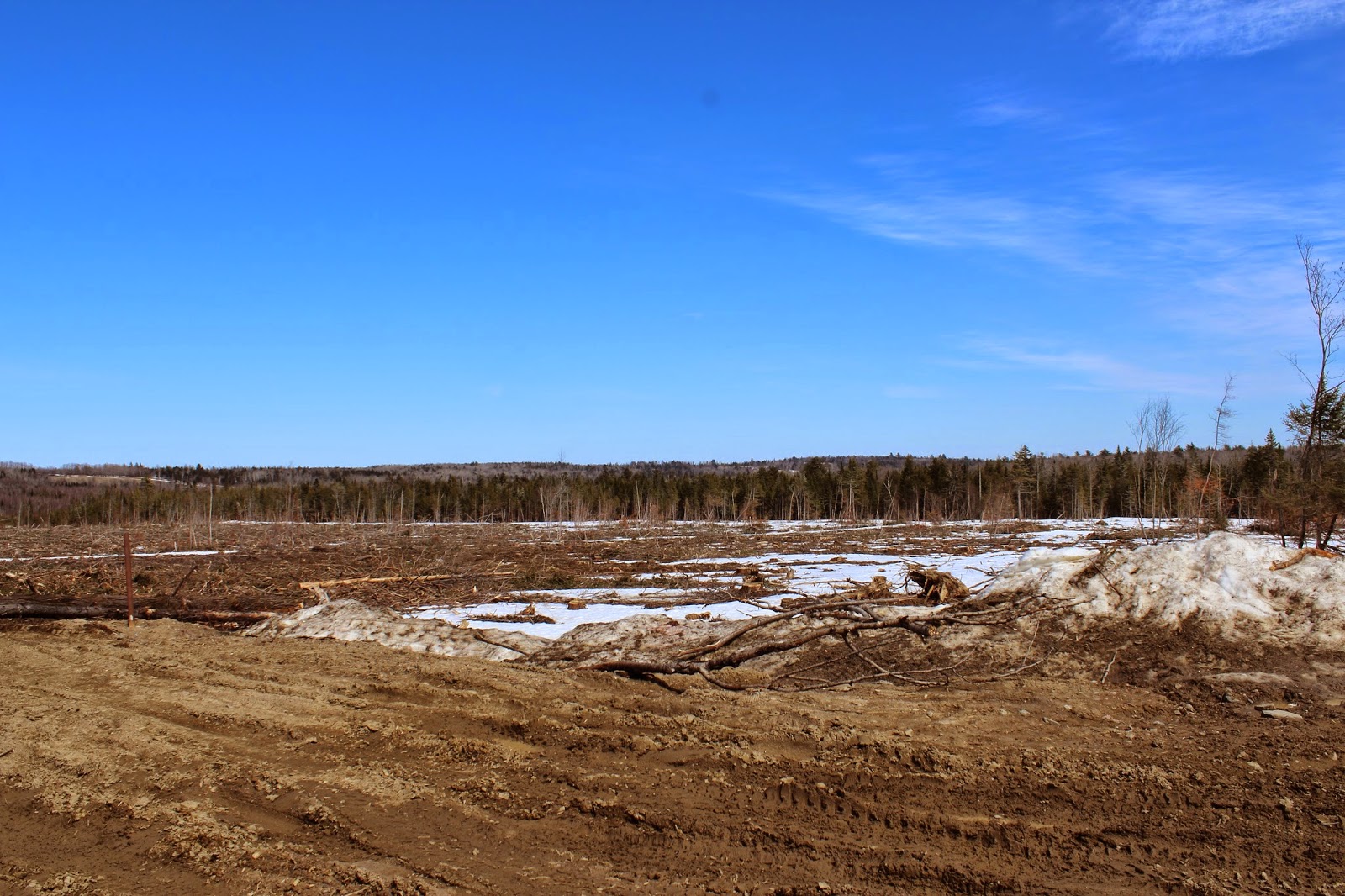 OFF THE BEATEN PATH Scotch Lake Road
