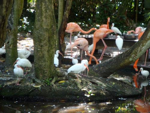 The Flamingo and Egret Quaters
