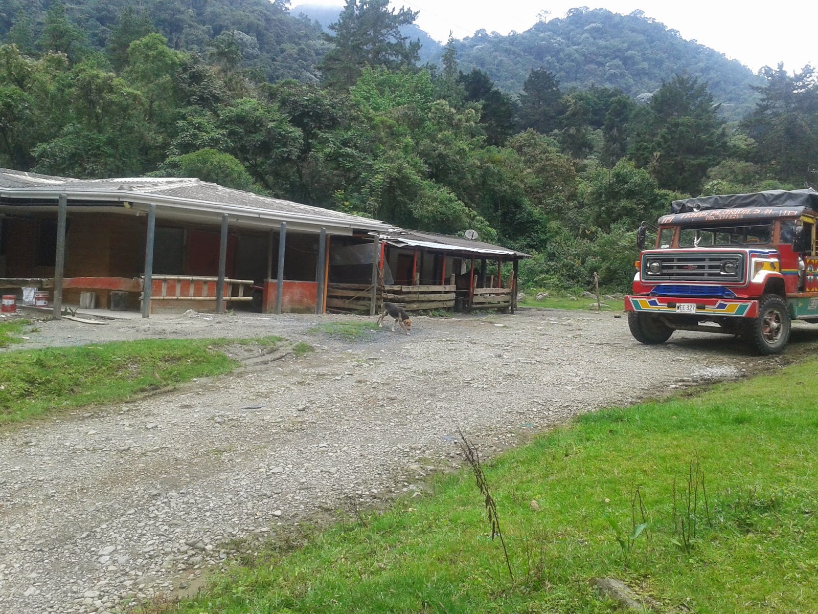 NAMASTE Reportaje El Cedral