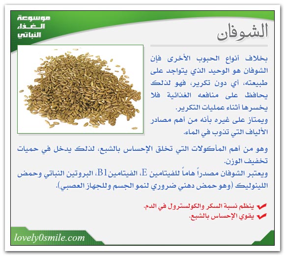 فوائد كل أنواع الخضار والفواكة الشوفان