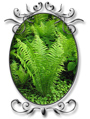 Société d'horticulture et d'écologie du Grand Jardin Vert - Piedmont 
