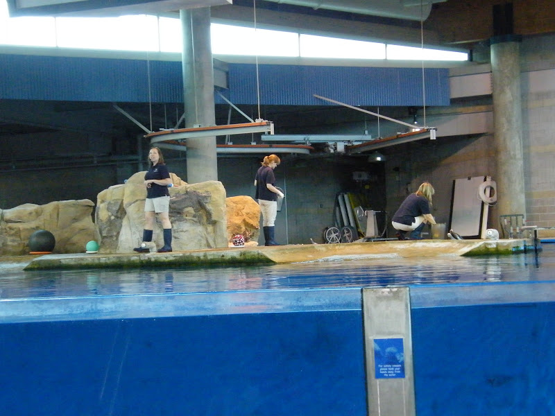 Minnesota Zoo Apple Valley Family Fun Twin Cities