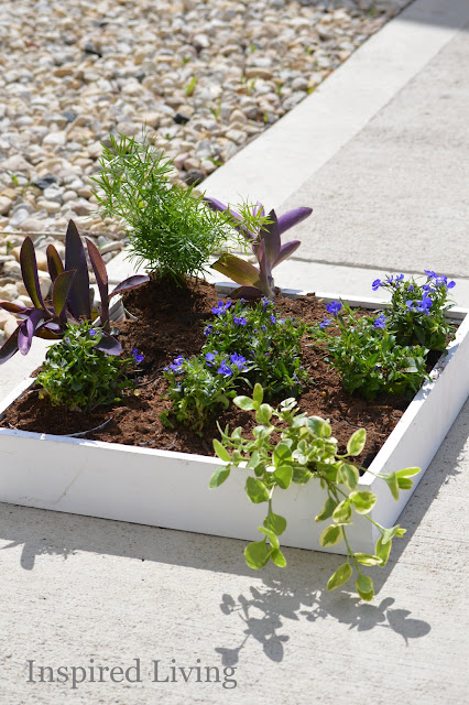 Inspired Living: Vertical Wall Garden How-To