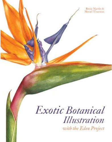 Botanical Illustrator