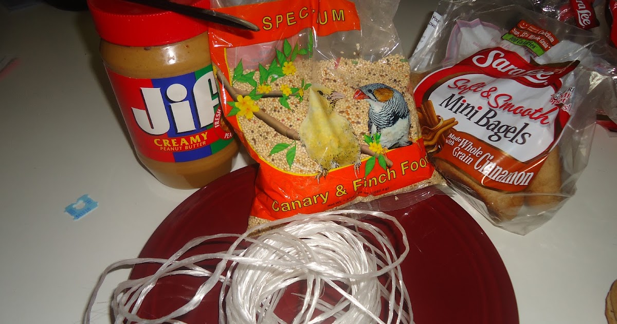 Pretty Cool Preschool Bagel Bird Feeder