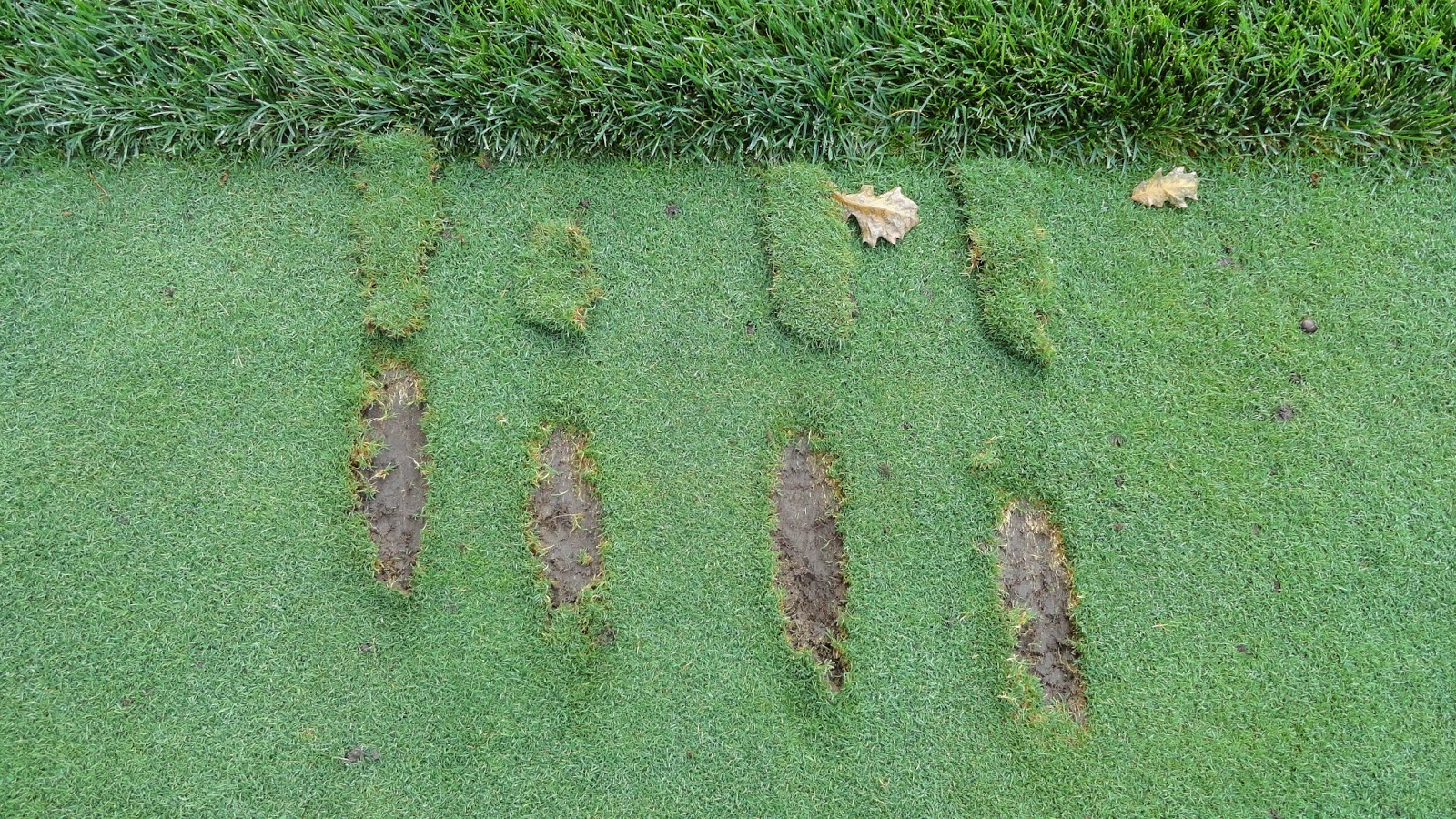 Divots and Divot Recovery Naperville Country Club Green Department