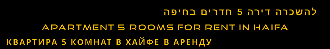  דירה 5 חדרים להשכרה לטווח ארוך בחיפה ללא תיווך