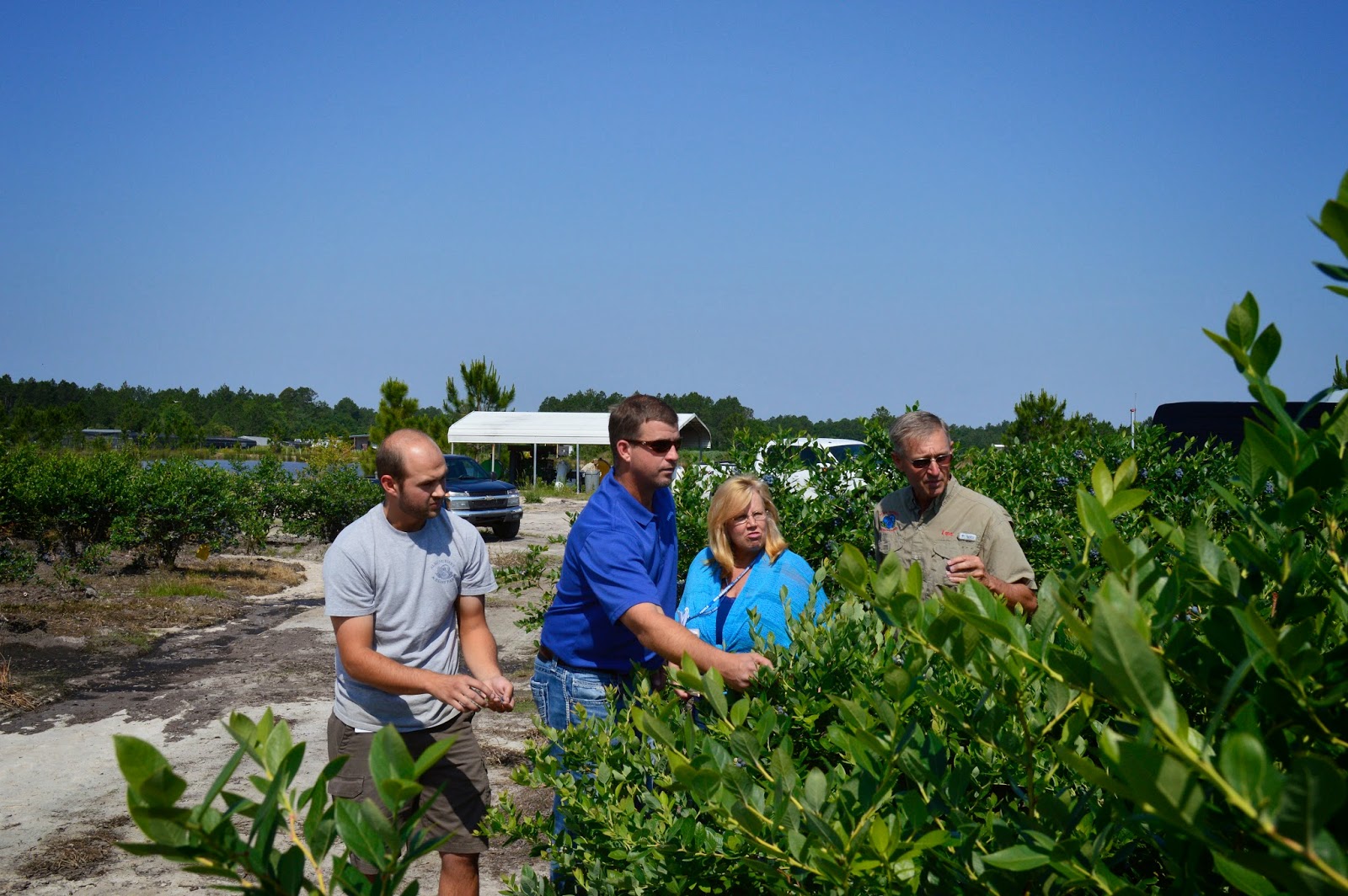 nourish the beast I've Got The Blues