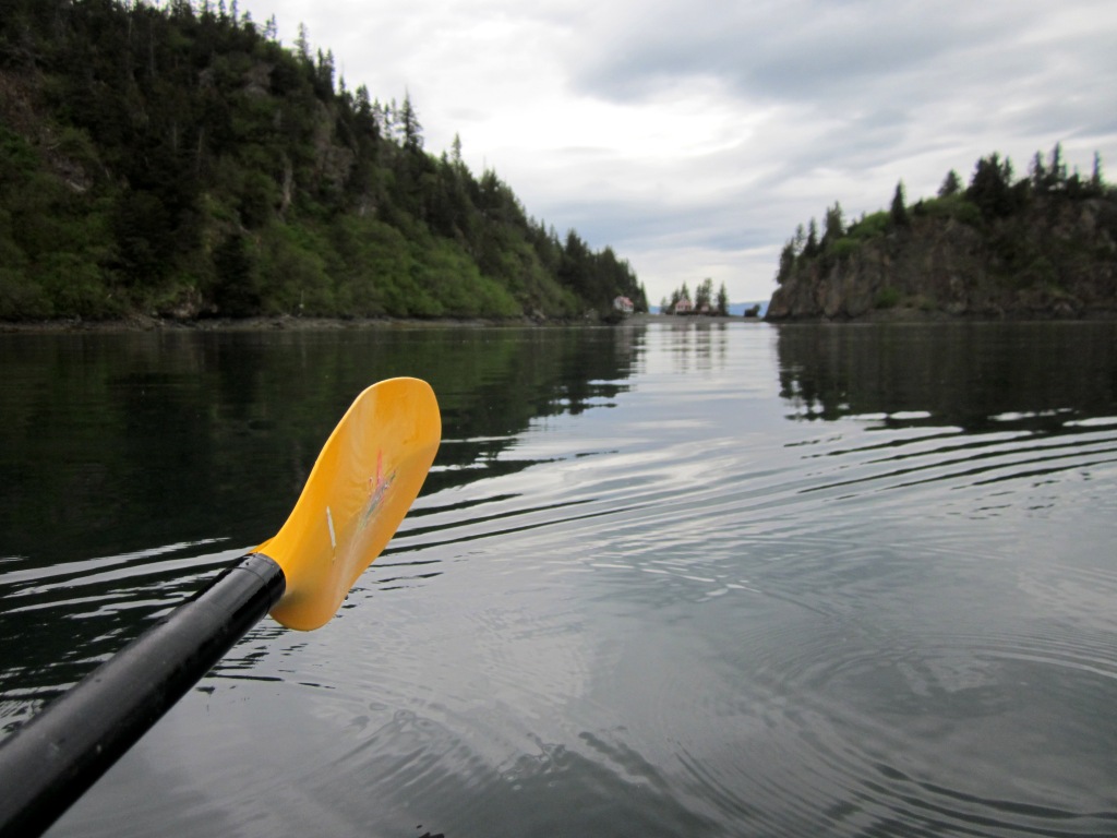 each day an adventure in alaska halibut cove lagoon...act 2...