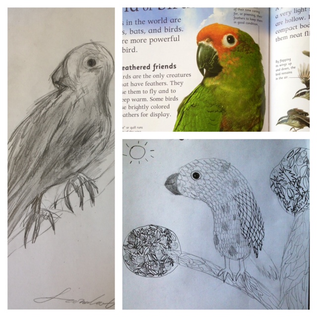 Art with Hannah: Memory, Observation, and Imagination Drawing