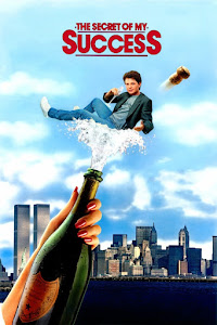 The Secret of My Succe$s Poster