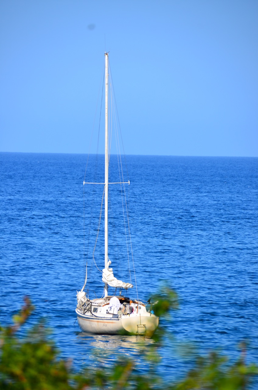 Captain Curran's sailing blog Sail journey from San Diego to Catalina
