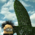 Kumpulan Gambar Lucu Minion Menguasai Dunia