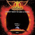 Lirik Aerosmith - I Don't Want To Miss A Thing