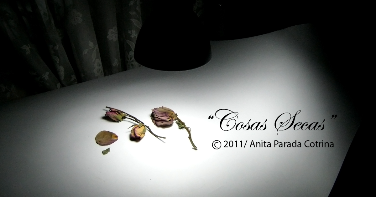 anicrispc/portafolio: Recogí unas cosas: "Cosas Secas"