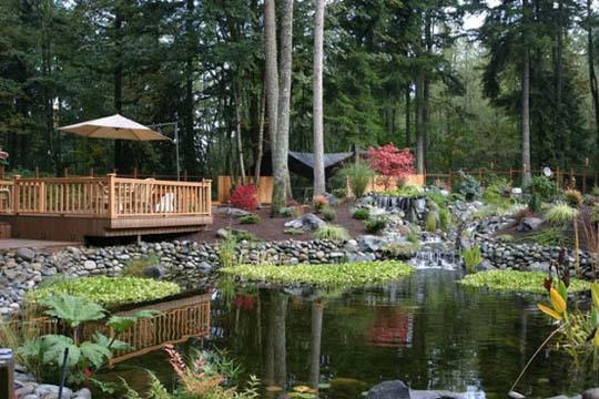 Natural-backyard-design-ideas-with-pond