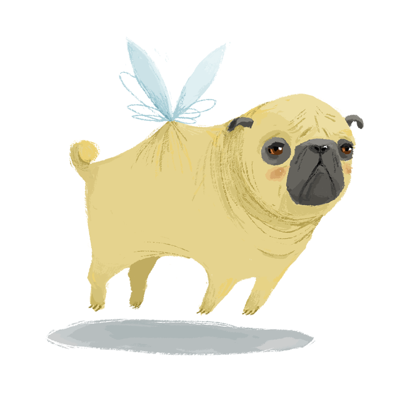 when pugs fly ella bailey illustration yeah right when pugs fly ella bailey illustration yeah right