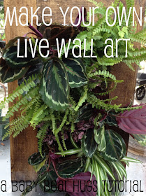living wall art DIY tutorial framed indoor garden grovert