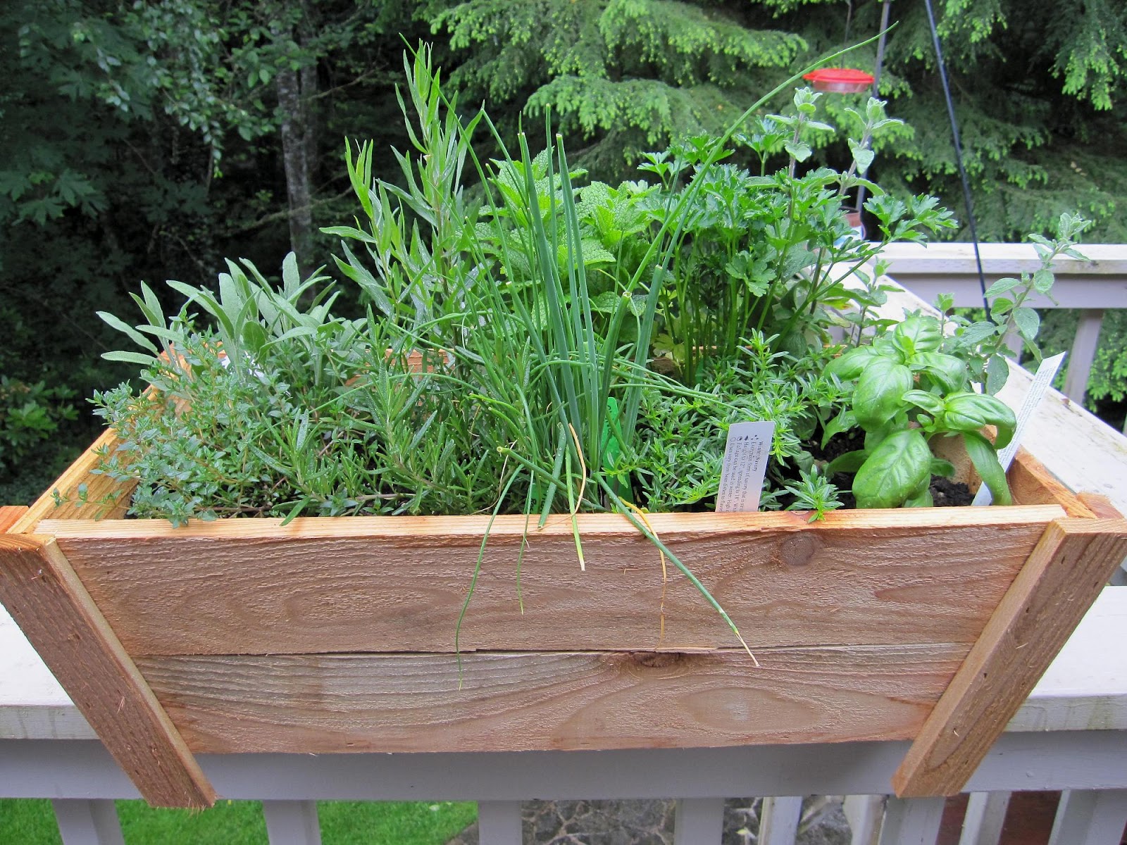container herb gardening found on onsuttonplace com container herb garden image search results container herb gardening found on onsuttonplace com container herb garden image search results