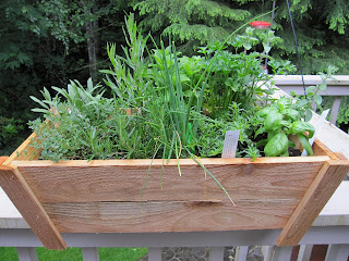 Art Garden Diva: Herb Garden in Containers