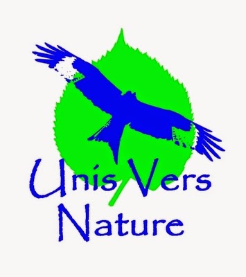 Unis Vers Nature: Fabriquer sa cuillère en bois