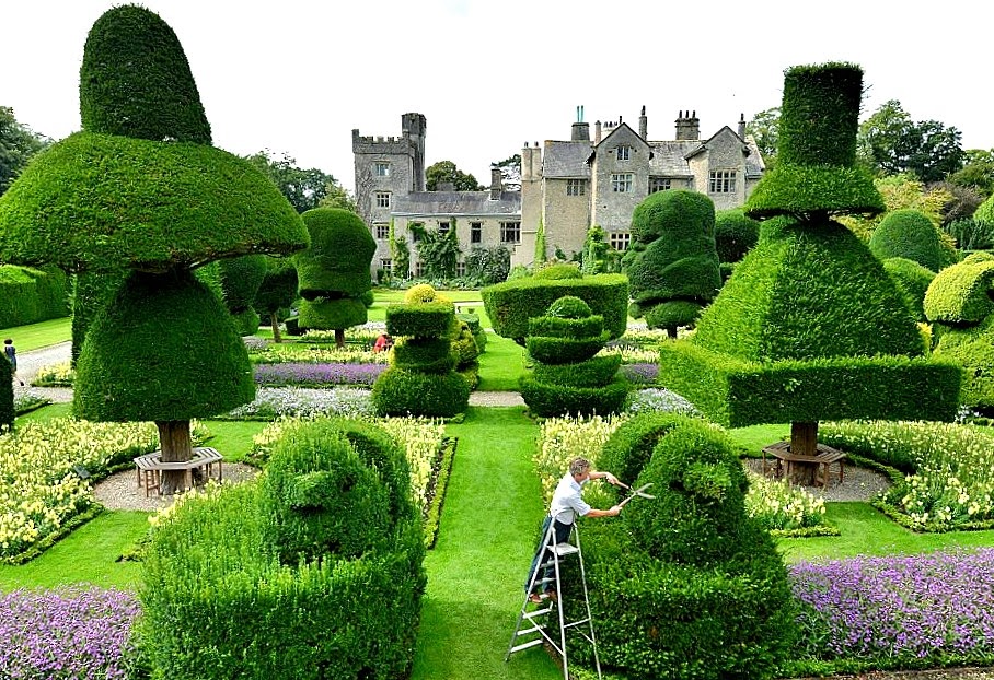 Kreativiti seni gubahan pokok hiasan - Relaks Minda