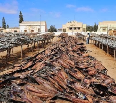 Depois da "escala", a seca do peixe  nas "tarimbas"