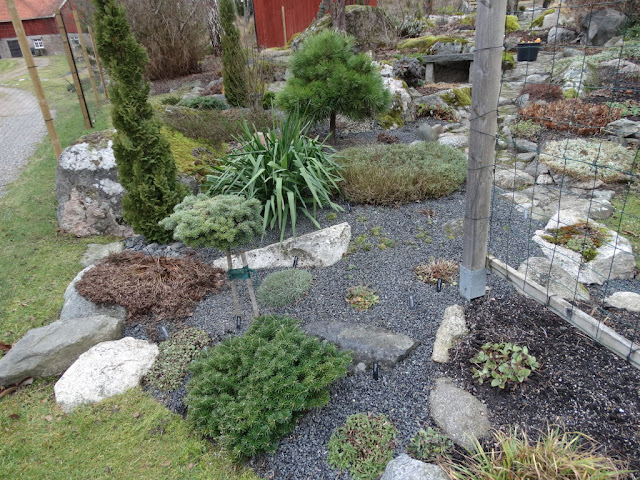 Sol Och Gront Lucka 10 Julkalendern 2017