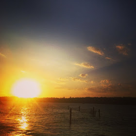 sydney beach sunset