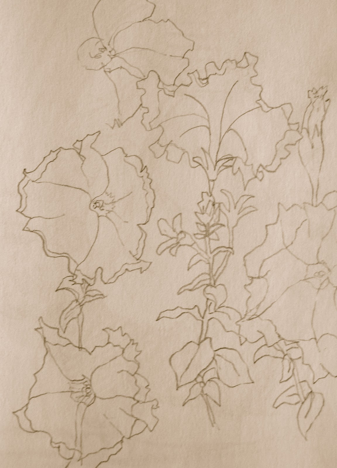 Contour Line Drawing Of Natural Forms : The painted prism sketchbook assignment contour drawing