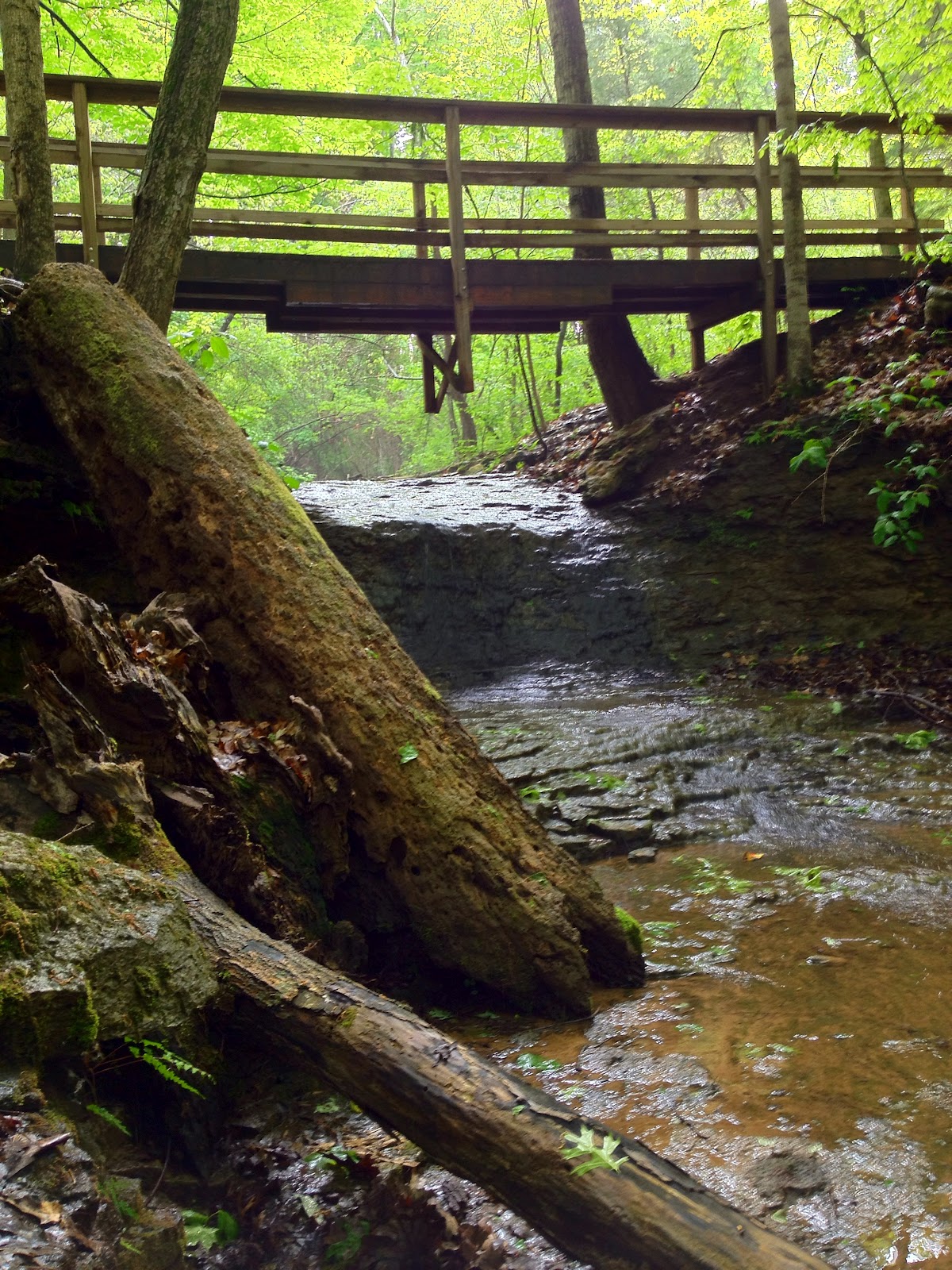 Louisville Hiker Charlestown State Park Charlestown, IN