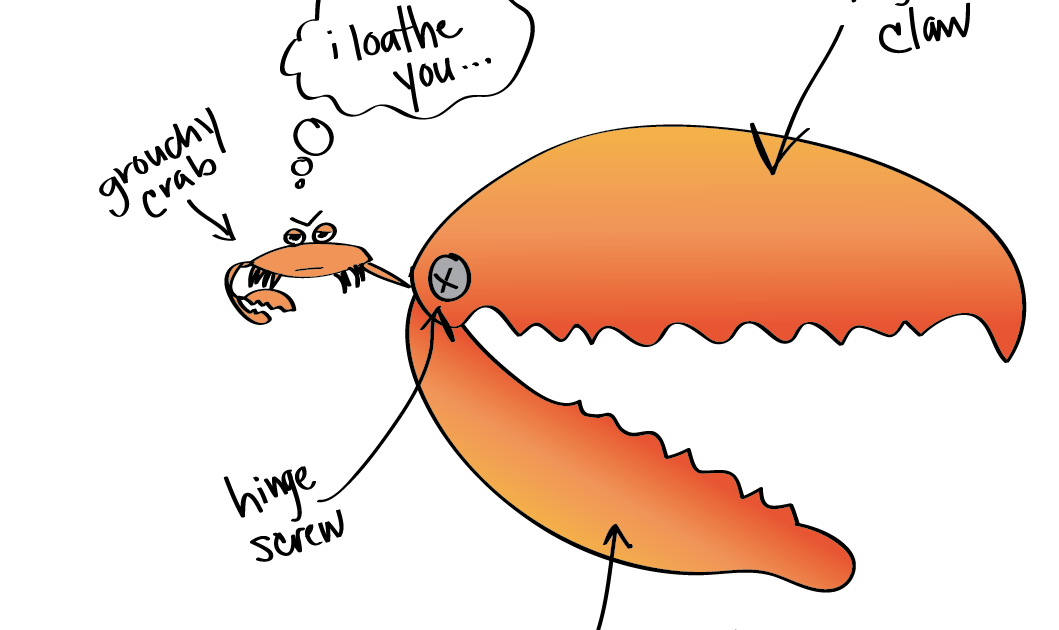 Bogue and Weejer Crab Claws