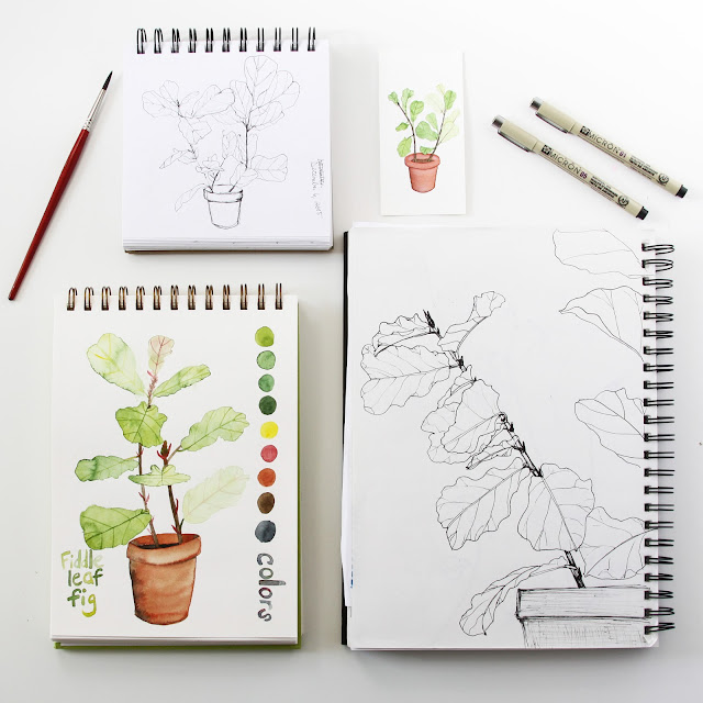 fiddle leaf fig, sketchbooks, watercolor, drawing, Anne Butera, My Giant Strawberry