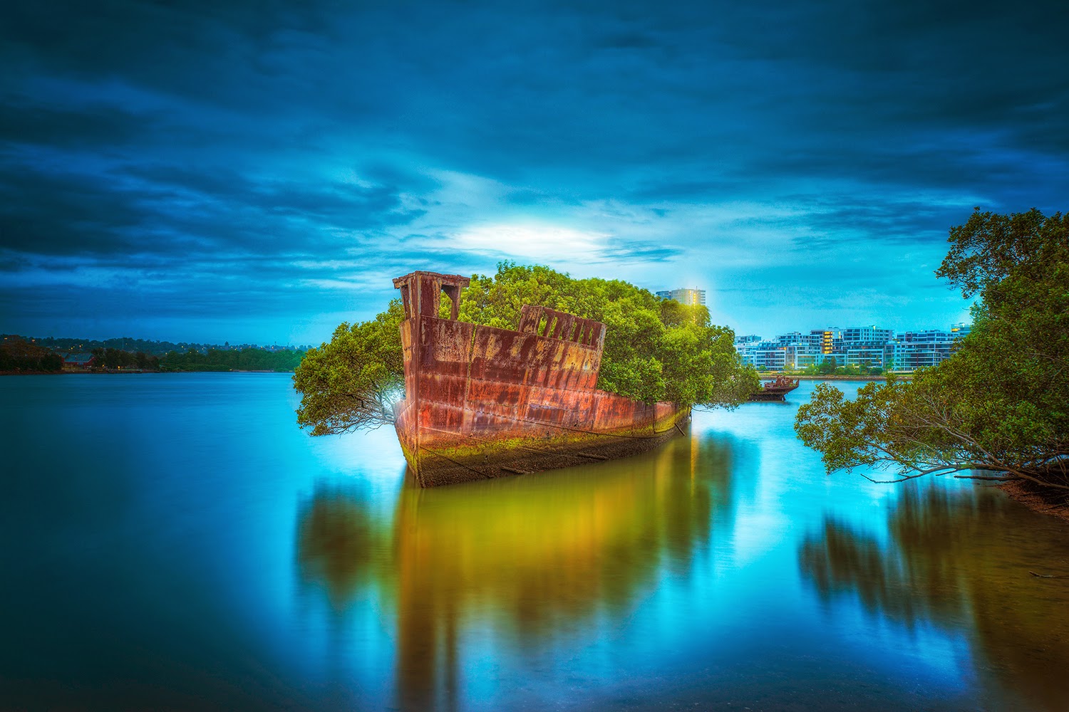 The remains of the SS Ayrfield in Homebush BayAustralia