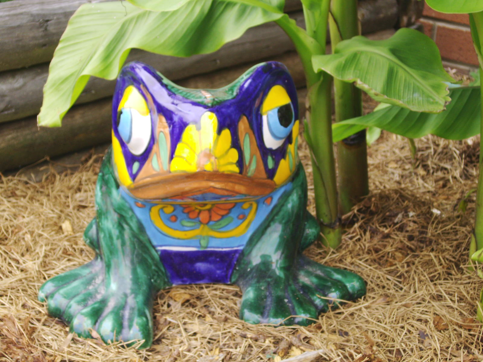 frog+planter.JPG (1600×1200) Planters, Garden, Frog