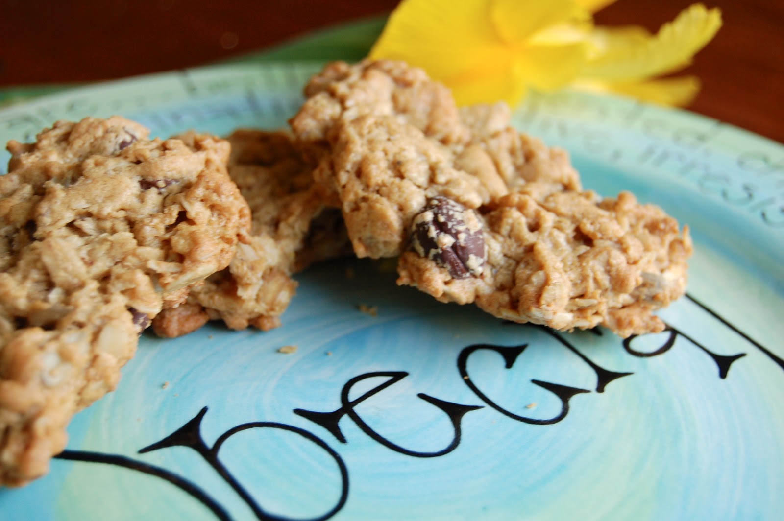 Kettler Cuisine Oatmeal Nut Butter Chocolate Chip Cookies