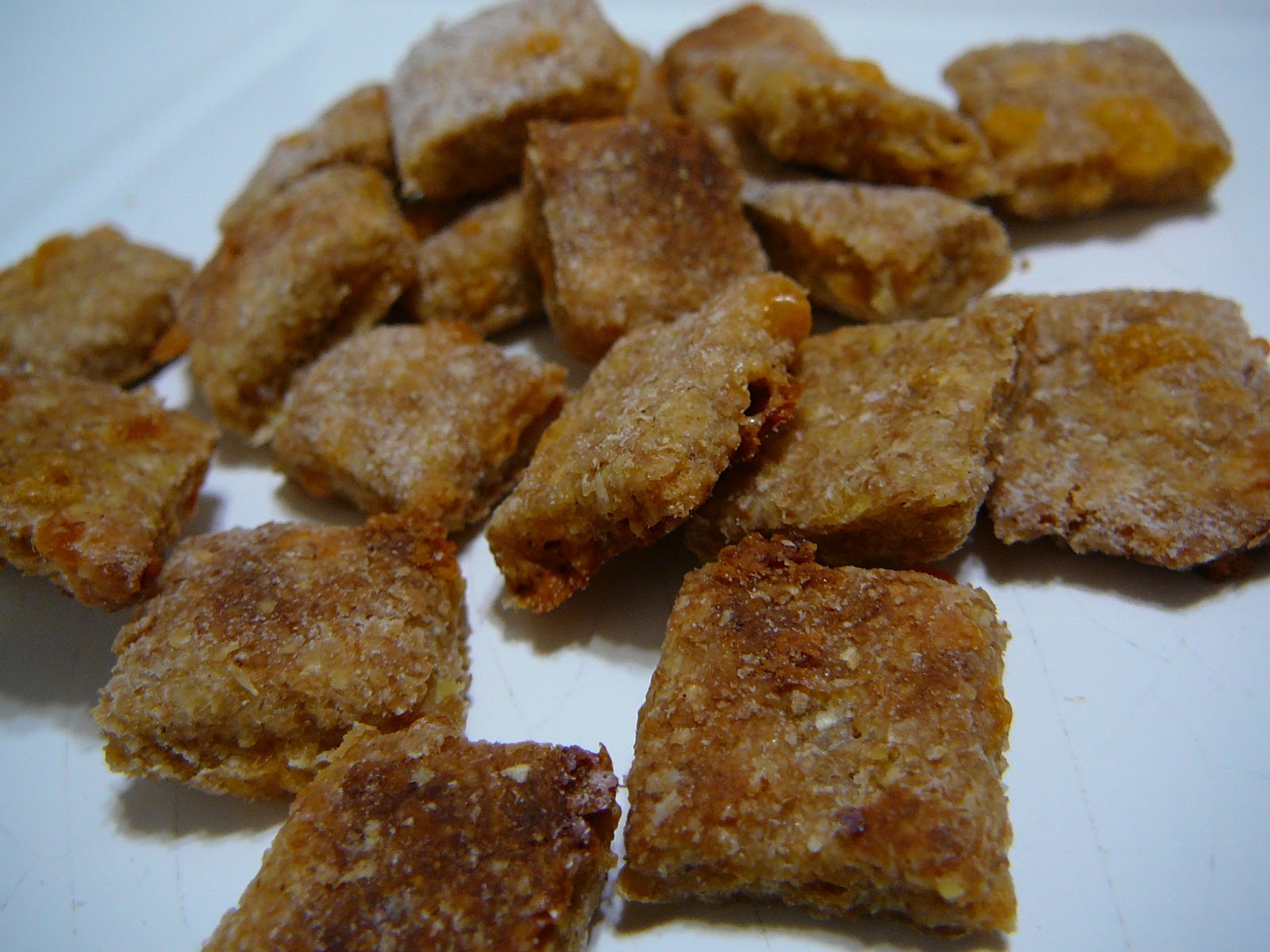 Holy Cannoli Recipes Cheesy Treats For Your Pets