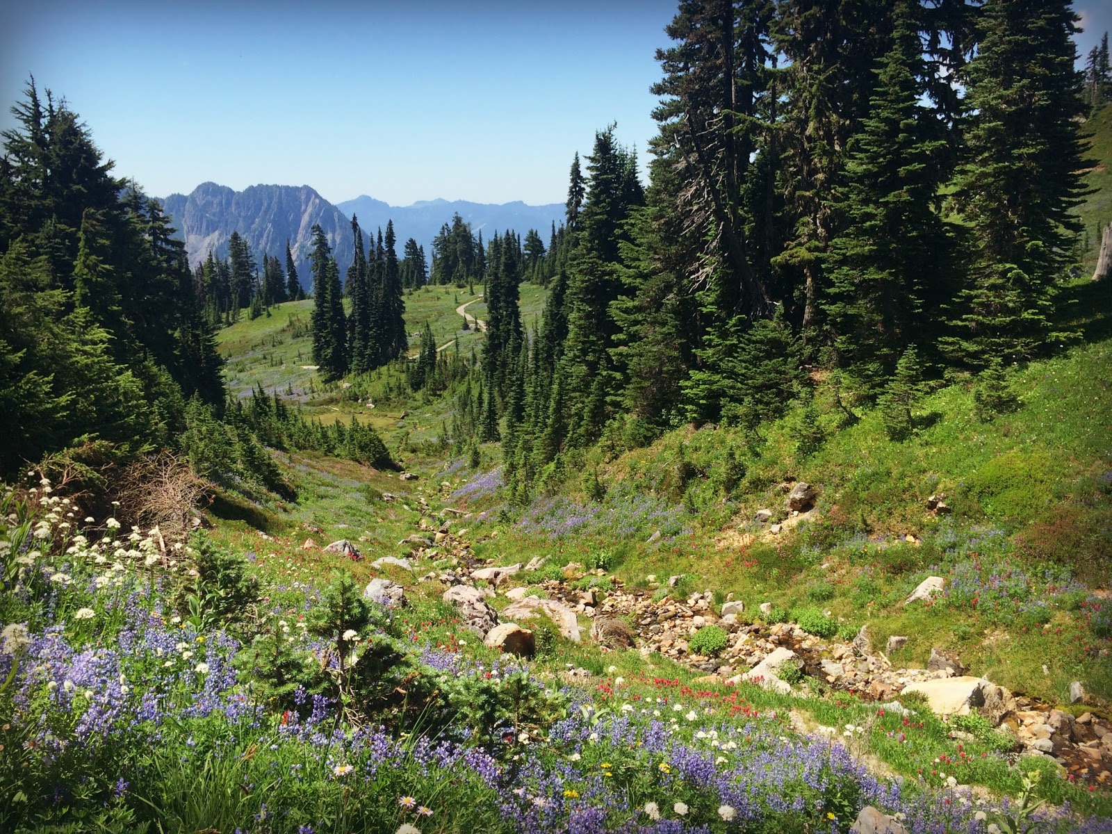 Marblemount Homestead We survived and thrived!