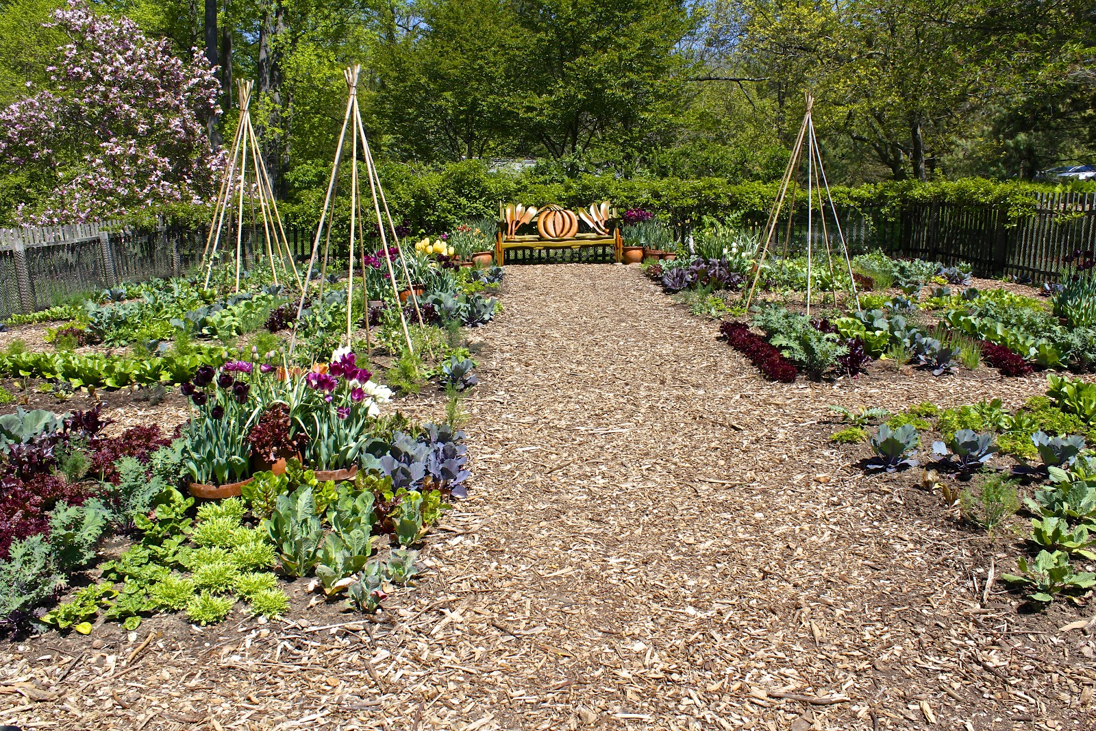 figs flowers food CHANTICLEER GARDENS in Wayne, Pennsylvania