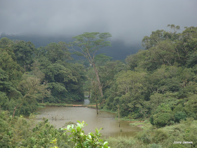 On the way to Wagamon Meadows